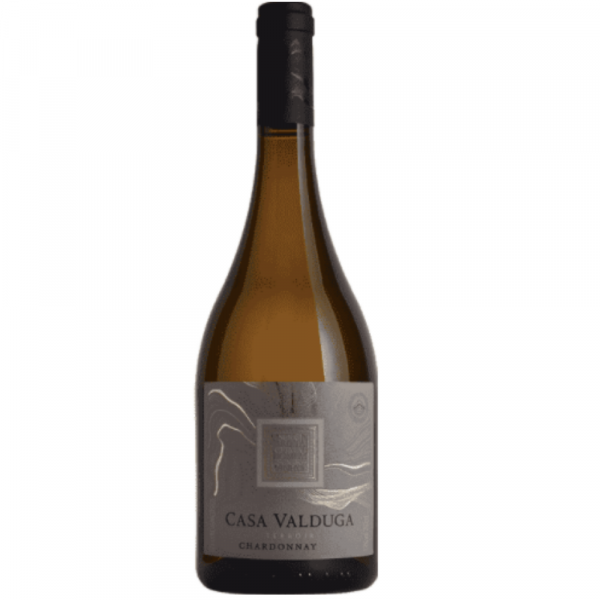 Vinho Branco Terroir Chardonnay Casa Valduga